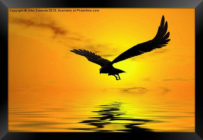 Eagle Sunset Framed Print by John Edwards