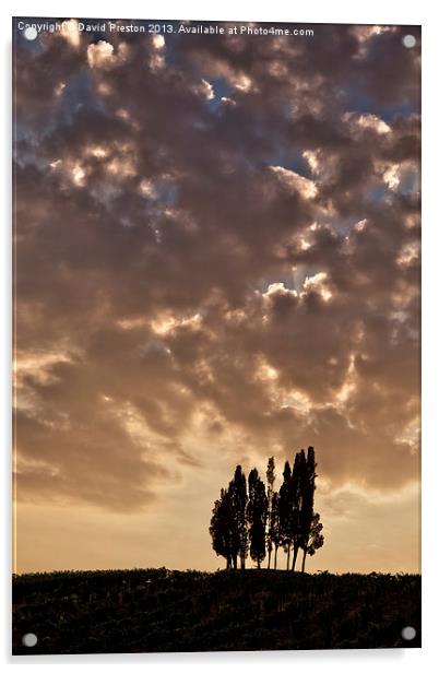 Sunset over Tuscany Acrylic by David Preston