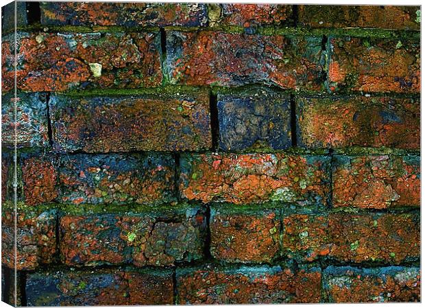 Stone Wall Canvas Print by Victor Burnside