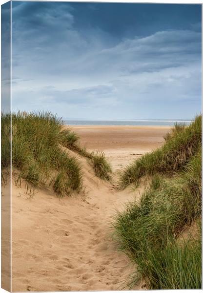 Down To The Beach Canvas Print by David Tinsley