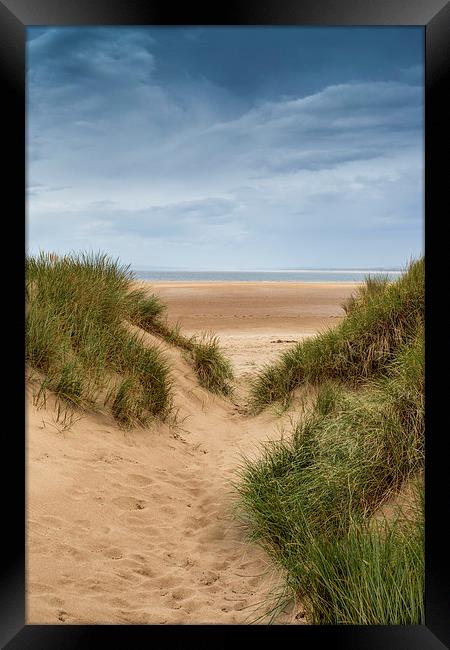 Down To The Beach Framed Print by David Tinsley