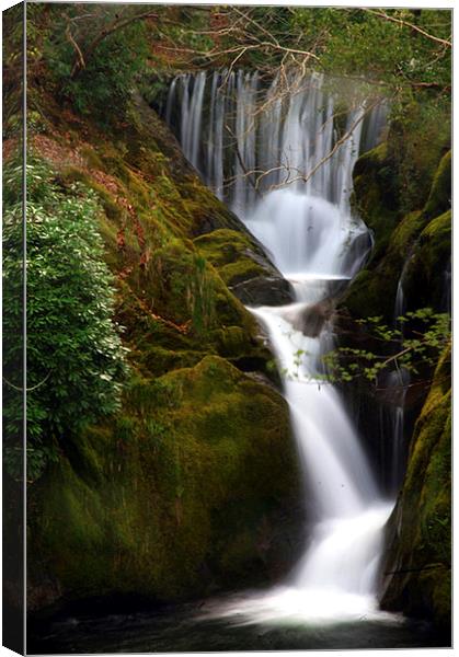 water fall Canvas Print by Andrew chittock