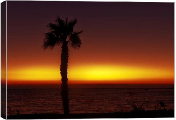 Sunset in pafos Canvas Print by Carl Shellis