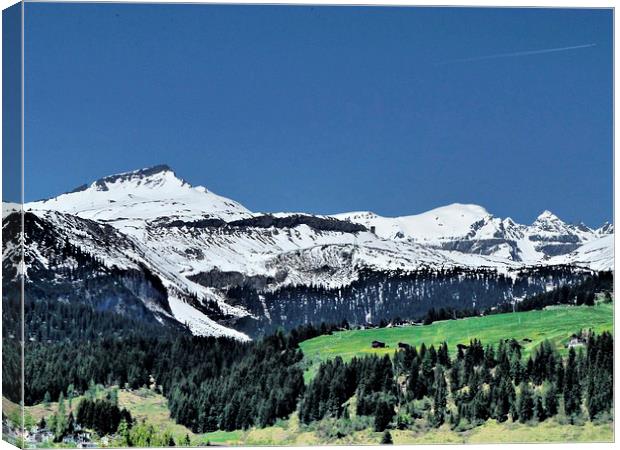 Swiss Alps. Canvas Print by Lilian Marshall