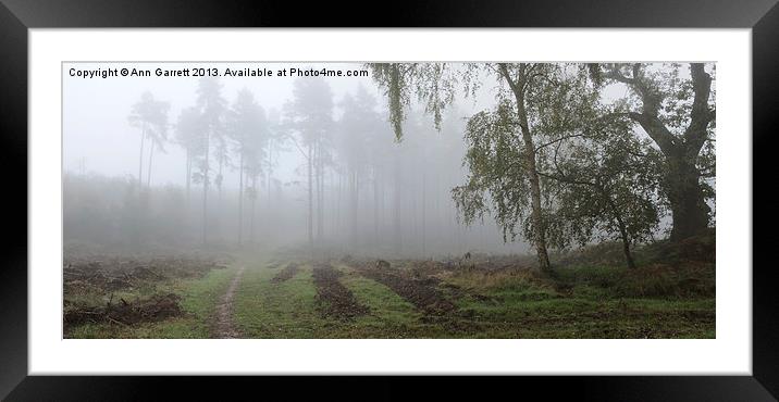 Another Foggy Day On Cannock Chase Framed Mounted Print by Ann Garrett
