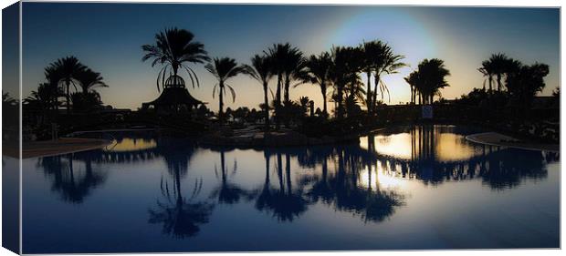 Palm tree swimming Pool Canvas Print by Leighton Collins
