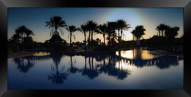 Palm tree swimming Pool Framed Print by Leighton Collins