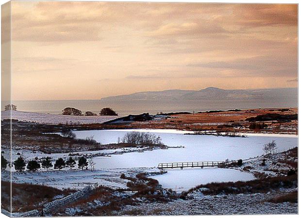 Winter on Fairlie moor Canvas Print by Peter Mclardy