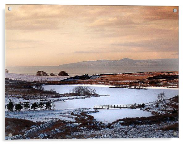 Winter on Fairlie moor Acrylic by Peter Mclardy