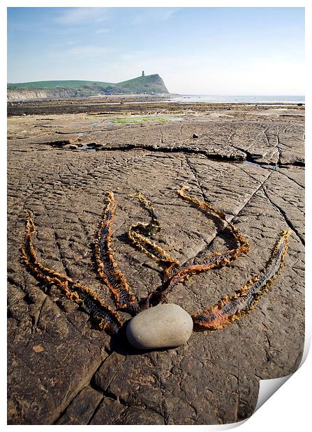 Kimmeridge bay Dorset Print by Tony Bates