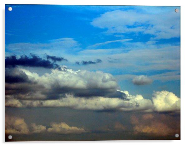 Blue Clouds Acrylic by Pics by Jody Adams