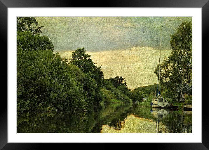 On The River Ant 2 Framed Mounted Print by Julie Coe