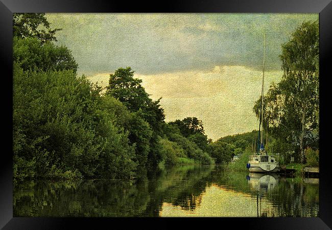 On The River Ant 2 Framed Print by Julie Coe