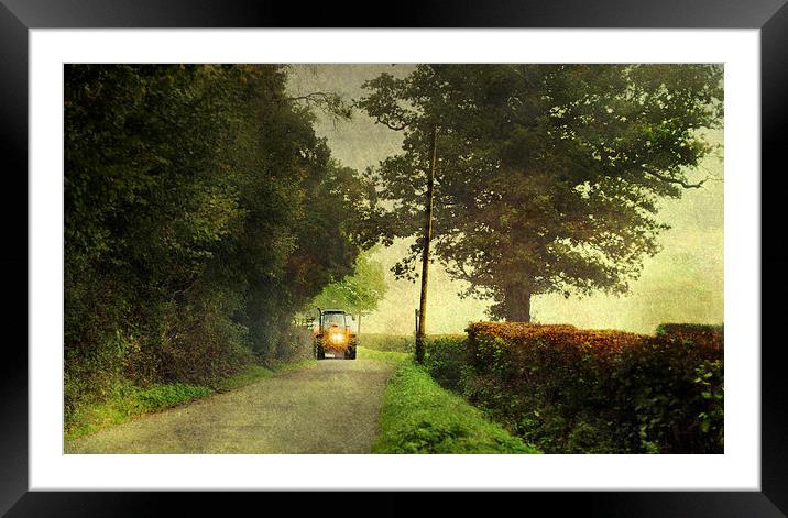 The narrow lane Framed Mounted Print by Dawn Cox
