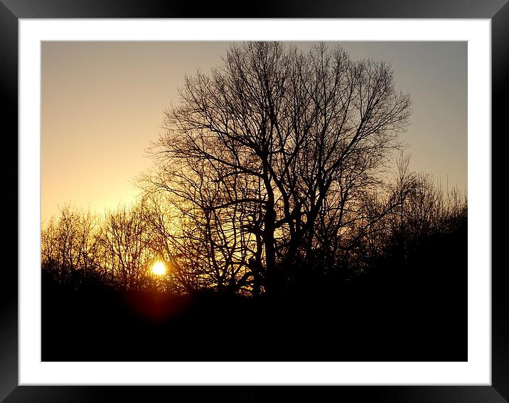 Sunset Silhouette Tree Framed Mounted Print by Tim Smith