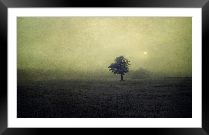 Dark moon Rising Framed Mounted Print by Dawn Cox