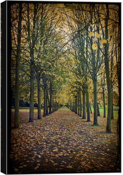 Autumn Leaves Canvas Print by Graham Custance