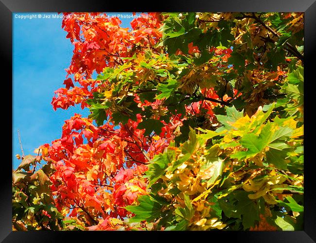 Into The Red Framed Print by Jez Mouncer