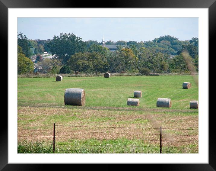 Hay in the Fields Framed Mounted Print by Pics by Jody Adams