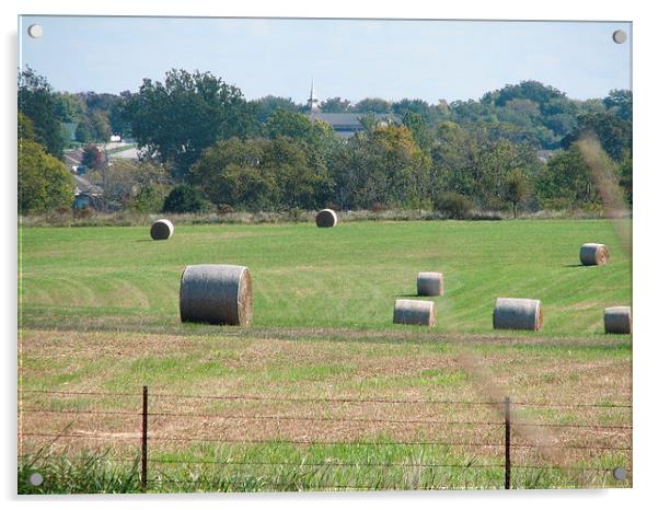 Hay in the Fields Acrylic by Pics by Jody Adams