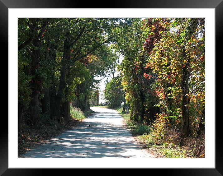 One Lane Road Framed Mounted Print by Pics by Jody Adams