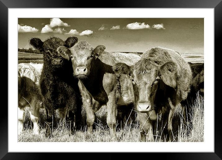 Mooody Framed Mounted Print by Rob Hawkins