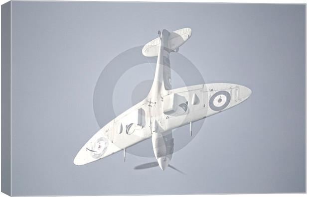 Supermarine Spitfire  Dive Canvas Print by Nigel Bangert