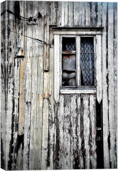 Abandoned Canvas Print by Scott Anderson