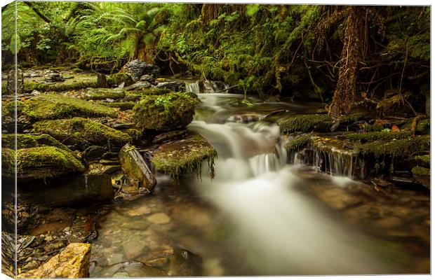 St.Nectans Waterfall Canvas Print by Thomas Schaeffer