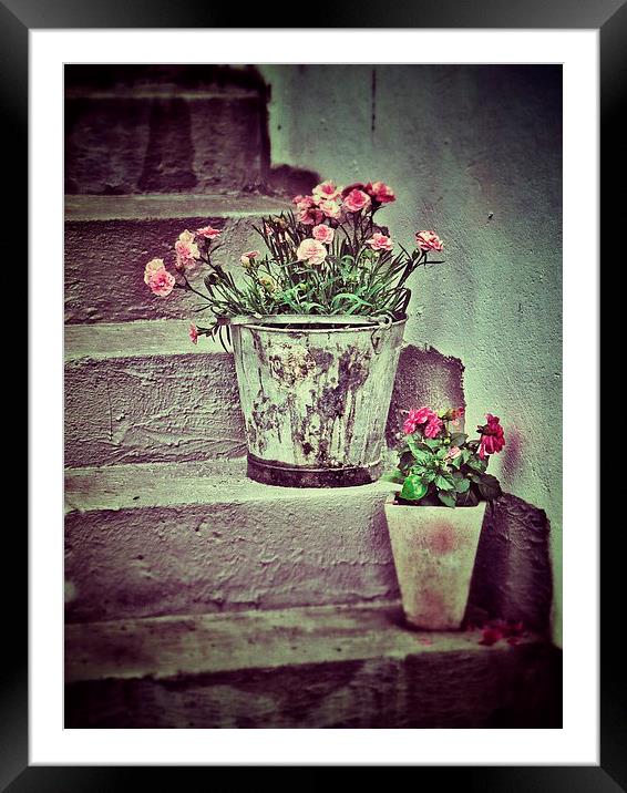 Flowers on Steps Framed Mounted Print by Scott Anderson