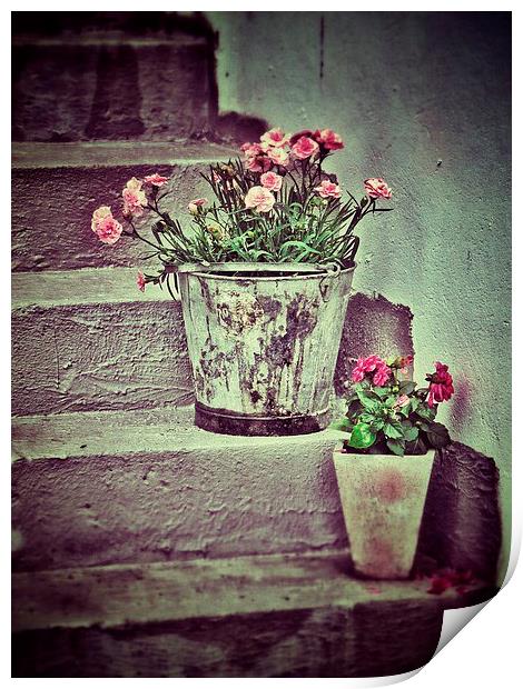 Flowers on Steps Print by Scott Anderson