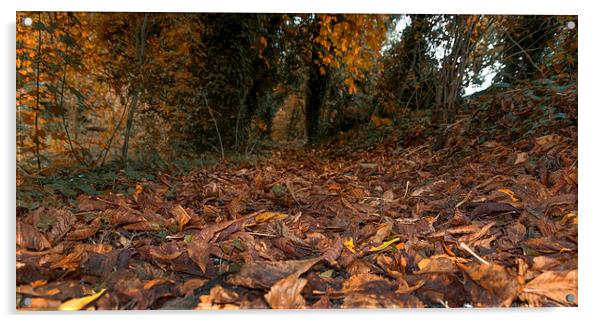 Autumnal Dreams Acrylic by Iain Mavin