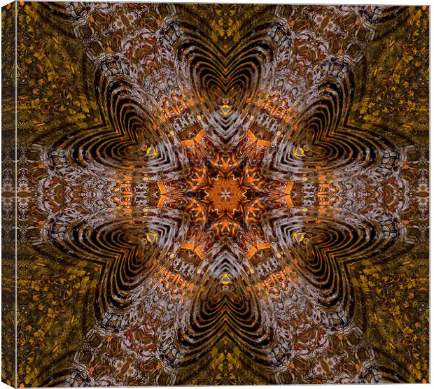 Kaleidoscope Vision Canvas Print by Iain Mavin