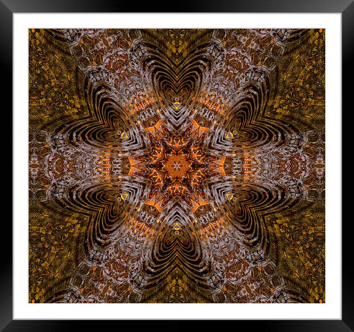 Kaleidoscope Vision Framed Mounted Print by Iain Mavin