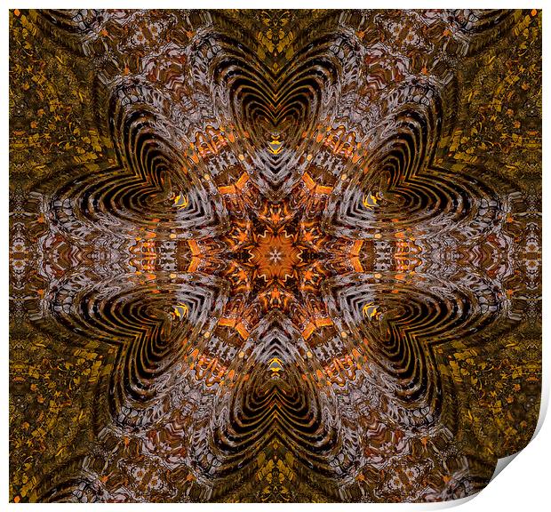 Kaleidoscope Vision Print by Iain Mavin