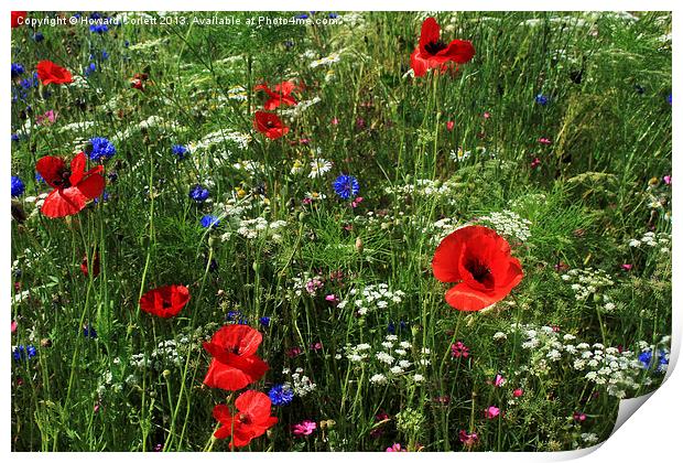 Wild Flowers Print by Howard Corlett