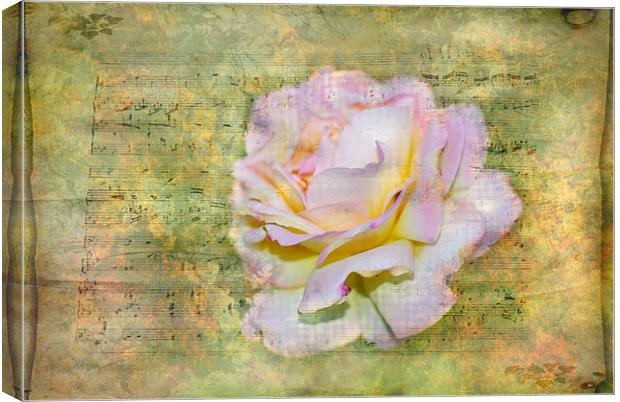 Rhythm of Love Canvas Print by Judy Hall-Folde
