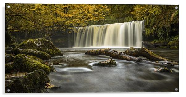 Upper Ddwli Falls, Brecon Beacons, Wales Acrylic by Izzy Standbridge