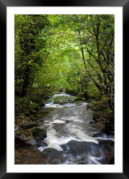 October Stream Framed Mounted Print by Sean Wareing