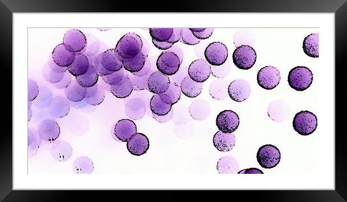 Negative reactions Framed Mounted Print by Sharon Lisa Clarke