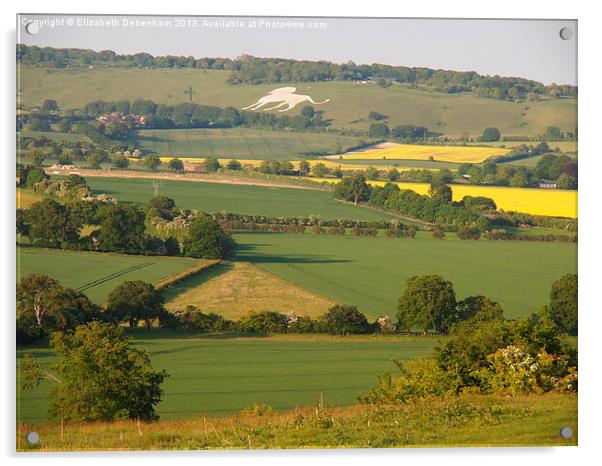 Ivinghoe View to Whipsnade Acrylic by Elizabeth Debenham