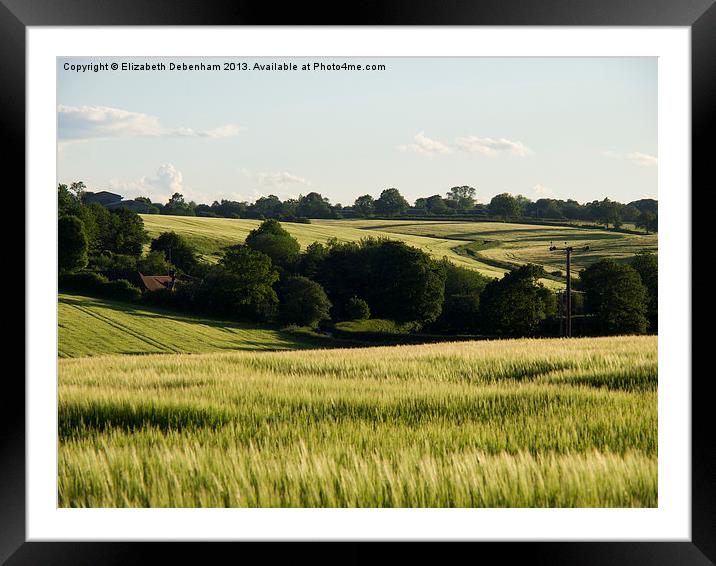 Summer Barley Fields Framed Mounted Print by Elizabeth Debenham