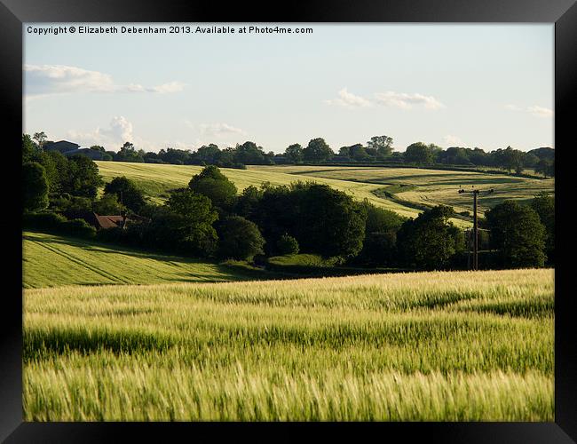 Summer Barley Fields Framed Print by Elizabeth Debenham