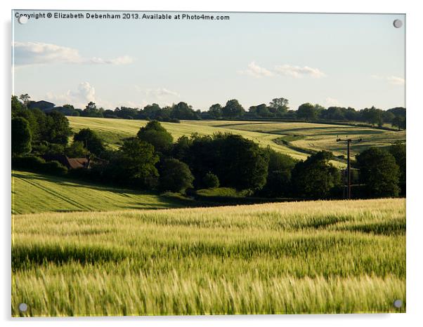 Summer Barley Fields Acrylic by Elizabeth Debenham