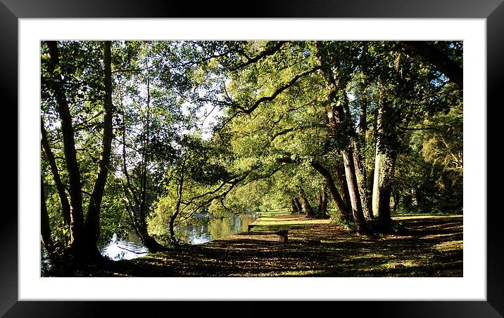 A Restful place Framed Mounted Print by Jon Fixter