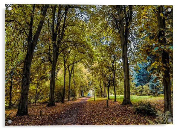 Autumn Walkway Acrylic by Trevor Kersley RIP