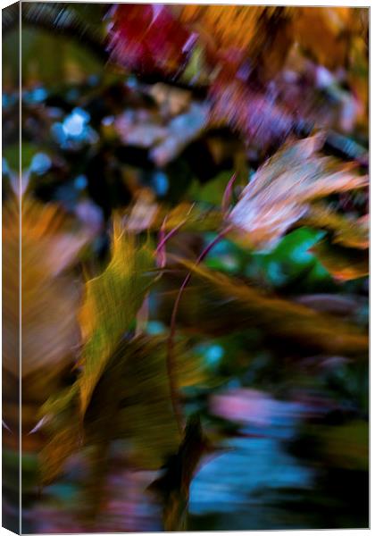Autumn Abstract Canvas Print by Phil Wareham