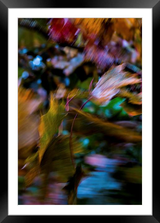 Autumn Abstract Framed Mounted Print by Phil Wareham