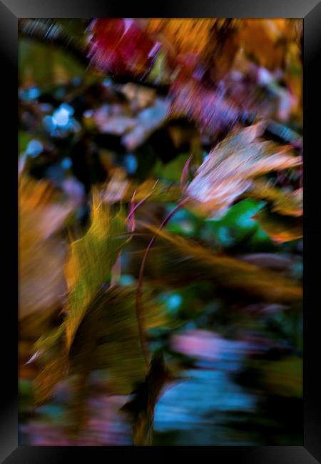 Autumn Abstract Framed Print by Phil Wareham