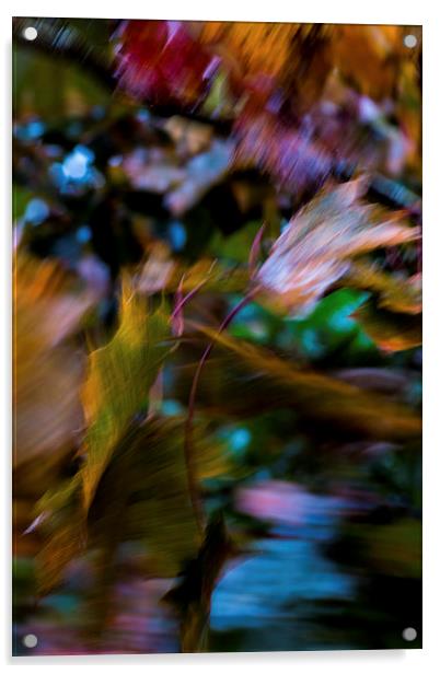 Autumn Abstract Acrylic by Phil Wareham